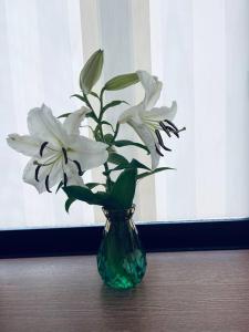 八王子的住宿－美山小屋-临近东京夏日乐园，高尾山，相模湖游乐园，相簿中的一張相片