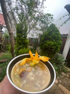 uma pessoa segurando um copo de sopa com uma flor dentro em Cabaña Milpa Huerto em San Cristóbal de Las Casas