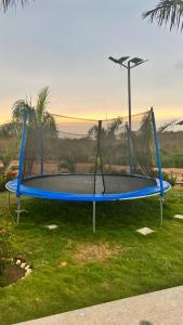 a trampoline with a net on the grass at BRISAS DE BARU in Ararca