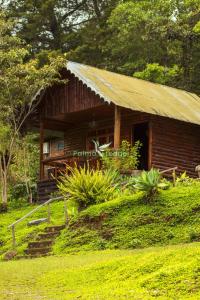 a small log cabin with a grass roof at Cabañas Palma Sky Lodge in Oxapampa