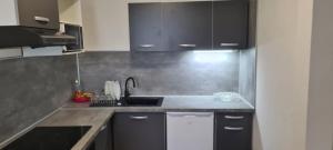 Kuchyň nebo kuchyňský kout v ubytování Paradies Caraïbes II