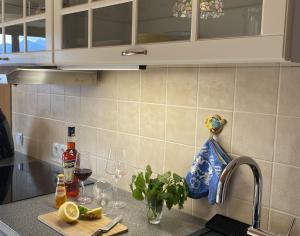 um balcão de cozinha com copos de vinho e um lavatório em Weberhof em Samerberg