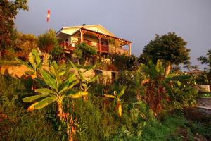 Photo de la galerie de l'établissement La Caz Oceane, à Saint-Leu