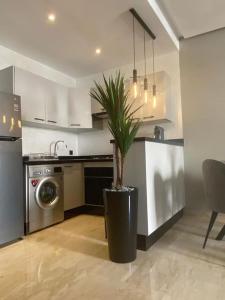 a kitchen with a potted plant in the middle at Appartement de luxe ,piscine,parking,Terrasse in Agadir