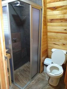 a bathroom with a toilet and a shower at Villas Margarita, Mazamitla, Jalisco. in Mazamitla