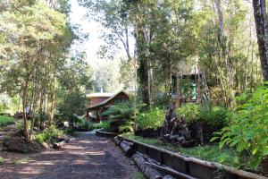 Zahrada ubytování Valle el Abra Ralún Lodge