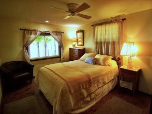 een slaapkamer met een bed en een plafondventilator bij Pine Cottage On Secret Cove in Sodus