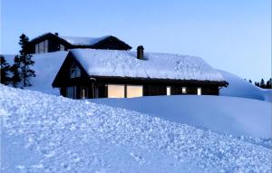 una casa cubierta de nieve junto a un montón de nieve en 4 Bedroom Lovely Home In Lillehammer en Lillehammer