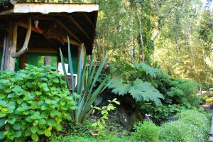 Zahrada ubytování Valle el Abra Ralún Lodge