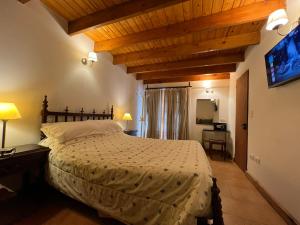 1 dormitorio con 1 cama grande y TV en Holiday Home Las Retamas en San Martín de los Andes