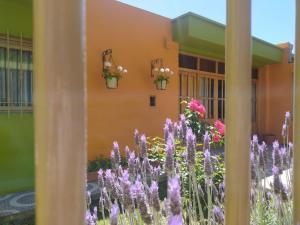 un jardín frente a un edificio con flores púrpuras en Hostel De La Tana en San Rafael