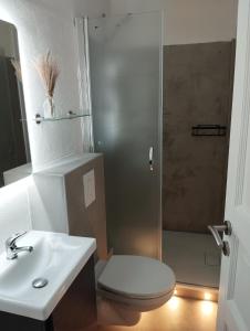 a bathroom with a shower and a toilet and a sink at Apartmenthaus Wattwurm in Friedrichskoog