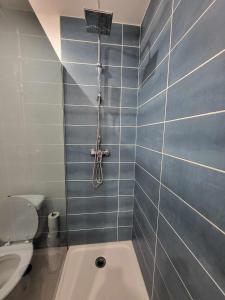 ein Badezimmer mit einem WC und einer Badewanne in der Unterkunft Appartement place du Canada in Valenciennes