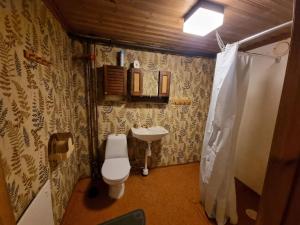 a small bathroom with a toilet and a sink at Rustikales Hexenhäuschen in Stöde