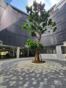 a small tree in front of a building at Sky Trees by Rentradise in Johor Bahru
