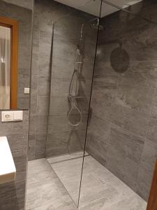 Łazienka w obiekcie Apart-hochzillertal Gartenwohnung