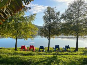 eine Reihe bunter Stühle im Gras in der Nähe eines Sees in der Unterkunft Good Stand in Suao