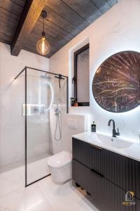 ein Bad mit einem WC, einem Waschbecken und einer Dusche in der Unterkunft Sunset House & Spa in Ustrzyki Dolne