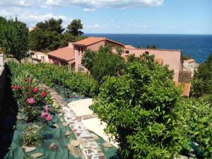 a garden with plants and flowers on a hill at roxane Appartement F1 Bis Face A La Mer in Collioure