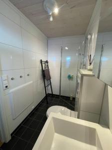 y baño con lavabo, ducha y aseo. en Modern cabin at Budor, close to Hamar and Løten, 1,5 hours from Oslo, en Nordset