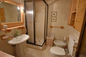 a bathroom with a shower and a toilet and a sink at Capanna Arnold Apartment in Madonna di Campiglio