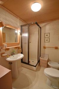 a bathroom with a shower and a sink and a toilet at Capanna Arnold Apartment in Madonna di Campiglio