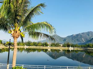a palm tree sitting next to a body of water at Ruby Homestay in Cam Lâm