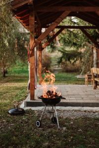 - un barbecue avec un feu dans l'herbe dans l'établissement Aproka - Chalet Mignon Adorable small guest house, à Sicasău