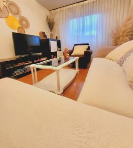 a living room with two couches and a tv at Olimphya in Ourense