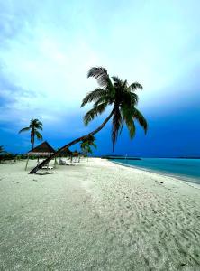 a beach with two palm trees and the ocean at Wind Breeze Sunset View Inn in Guraidhoo