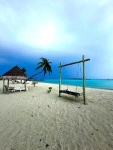 un columpio en una playa con una palmera y el océano en Wind Breeze Sunset View Inn, en Guraidhoo