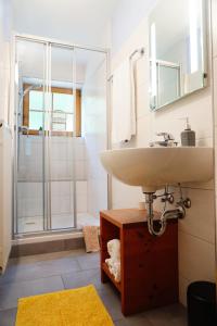a bathroom with a sink and a shower at Ferienwohnung Aignerhof in Schellgaden