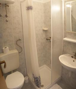 a bathroom with a shower and a toilet and a sink at House Baglija in Lumbarda