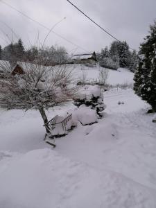 um banco sentado na neve ao lado de uma árvore em Silvester Drevenica pod Horou em Vyšná Korňa