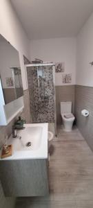 ein Bad mit einem Waschbecken, einer Dusche und einem WC in der Unterkunft Monolocale Splendida casa vacanze in Tenerife del Sur Casa Mimì in Arona