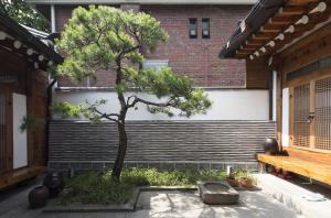 a tree in the courtyard of a building with a bench at Renewal Open!!! Entire Place, Traditional Stay Xiwoo , 時雨 시우 한옥독채 in Seoul