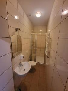 a bathroom with a sink and a shower at Hotel Parkowy in Malbork +20 photos