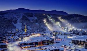 トリシルにあるSolbjørnlia Apartmentsの夜間の雪のスキー場