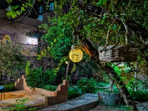 a light bulb hanging from a tree in a garden at Riad Dar Zaouia in Zagora