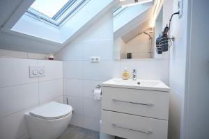 a bathroom with a toilet and a sink and a skylight at Schaefer Apartments - Residence Green Garden in Offenbach