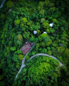 an overhead view of a road in a forest at Wine Space in Ambrolauri