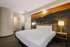 Clarion Pointe Sevierville-Pigeon Forge客房内的一张或多张床位