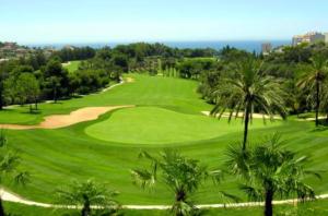 Golf pri dovolenkovom dome alebo okolí