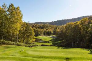 a view of a golf course with a river and trees at Park Hyatt Niseko Hanazono in Kutchan
