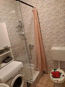 Łazienka w obiekcie Apartman Zuki