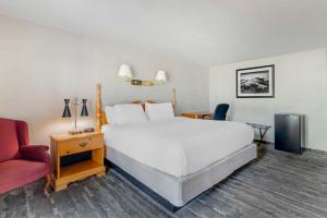 1 dormitorio con 1 cama blanca y 1 silla roja en Green Granite Inn, Ascend Hotel Collection, en North Conway
