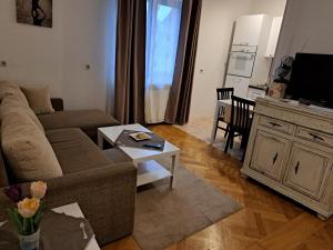 Telewizja i/lub zestaw kina domowego w obiekcie Apartman Zuki