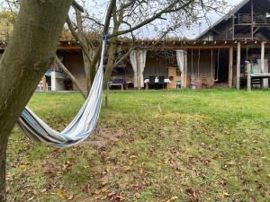 - un hamac suspendu à un arbre dans la cour dans l'établissement Grandpa's House in Hateg, à Haţeg