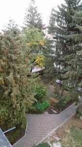 a garden with trees and a brick walkway at Apartment Eminescu - A pleasant stay in Bacau in Bacău