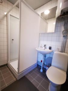 a bathroom with a shower and a toilet and a sink at Abisko Guesthouse & Activities in Abisko